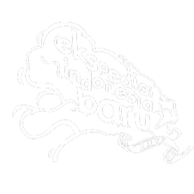 Logo Ekspedisi Indonesia Baru