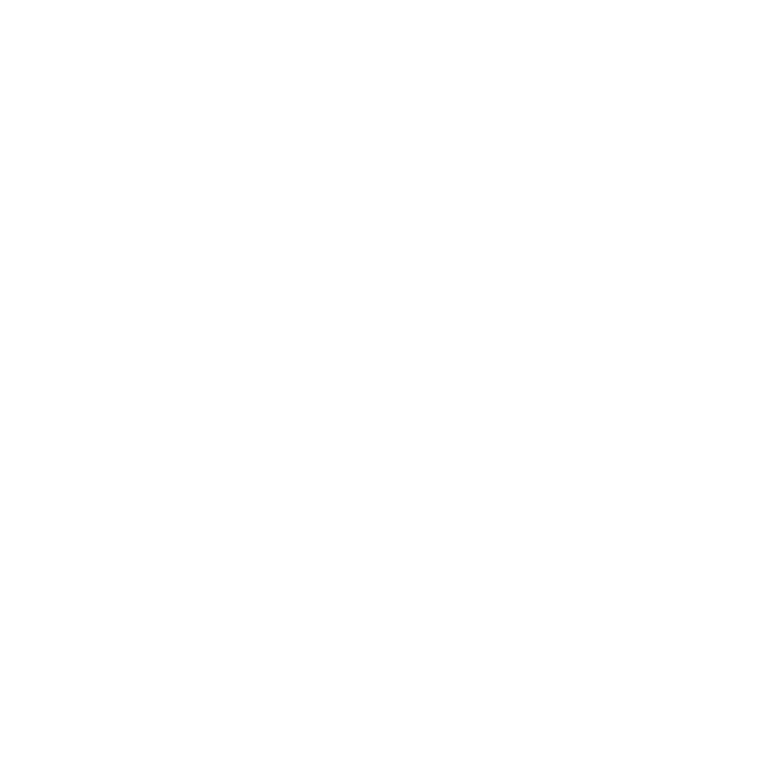 Logo Partikular 1