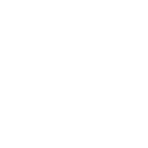 Logo Partikular 2