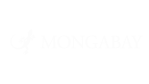 NEW - Logo Mongabay Global