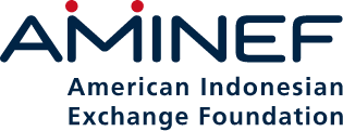 logo aminef color